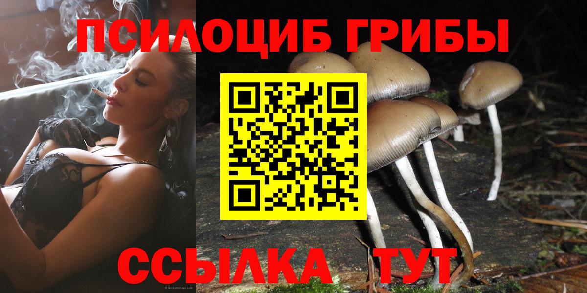Псилоцибиновые грибы прущие грибы  даркнет сайт  Вятские Поляны 