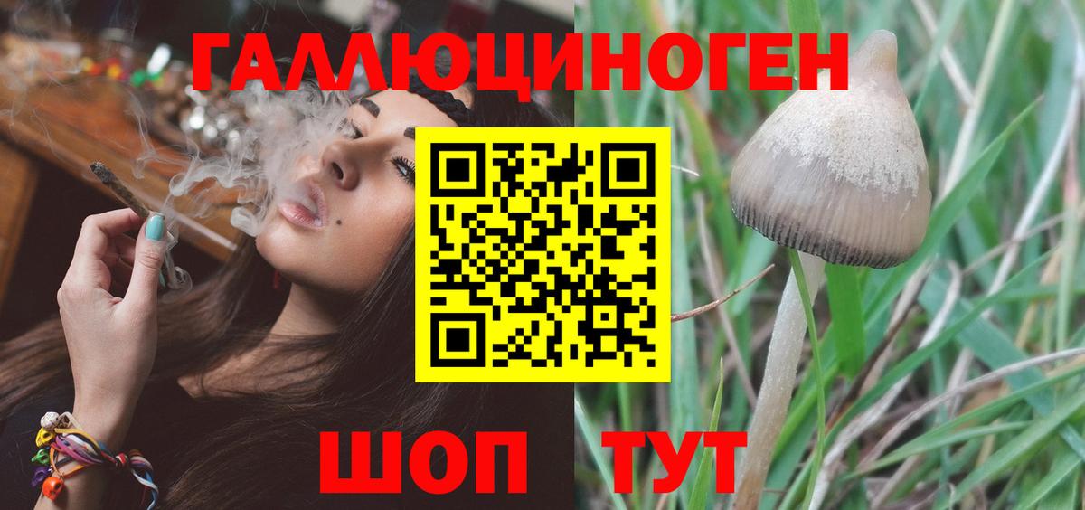 Галлюциногенные грибы ЛСД Вятские Поляны
