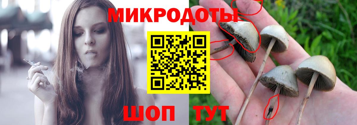 Вятские Поляны  Псилоцибиновые грибы ЛСД  Вход с VPN 